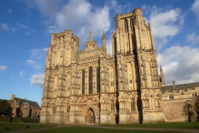 How Does Marek Health Work