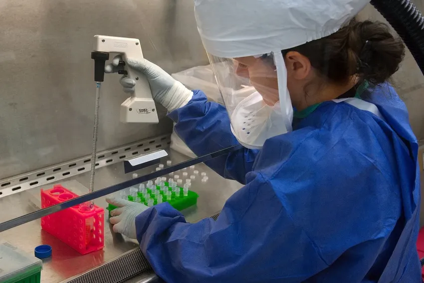 Research at Harvard Medical School