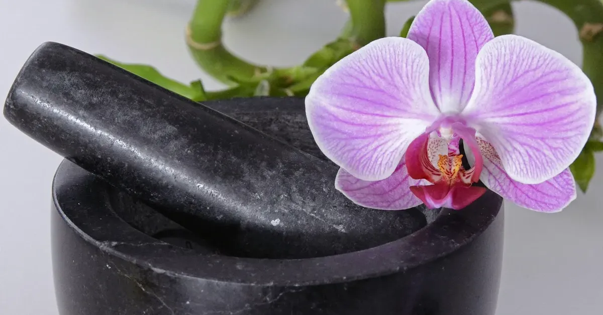 summarize how the components of health are related to wellness