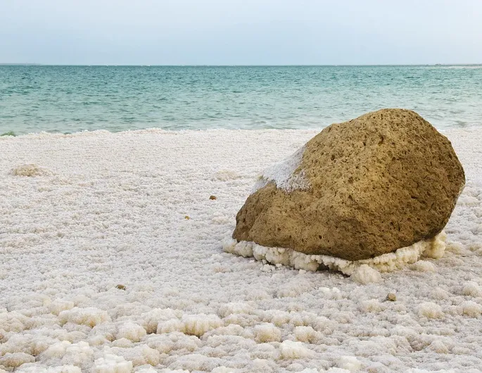 How Sodium Erythorbate Affects Your Body