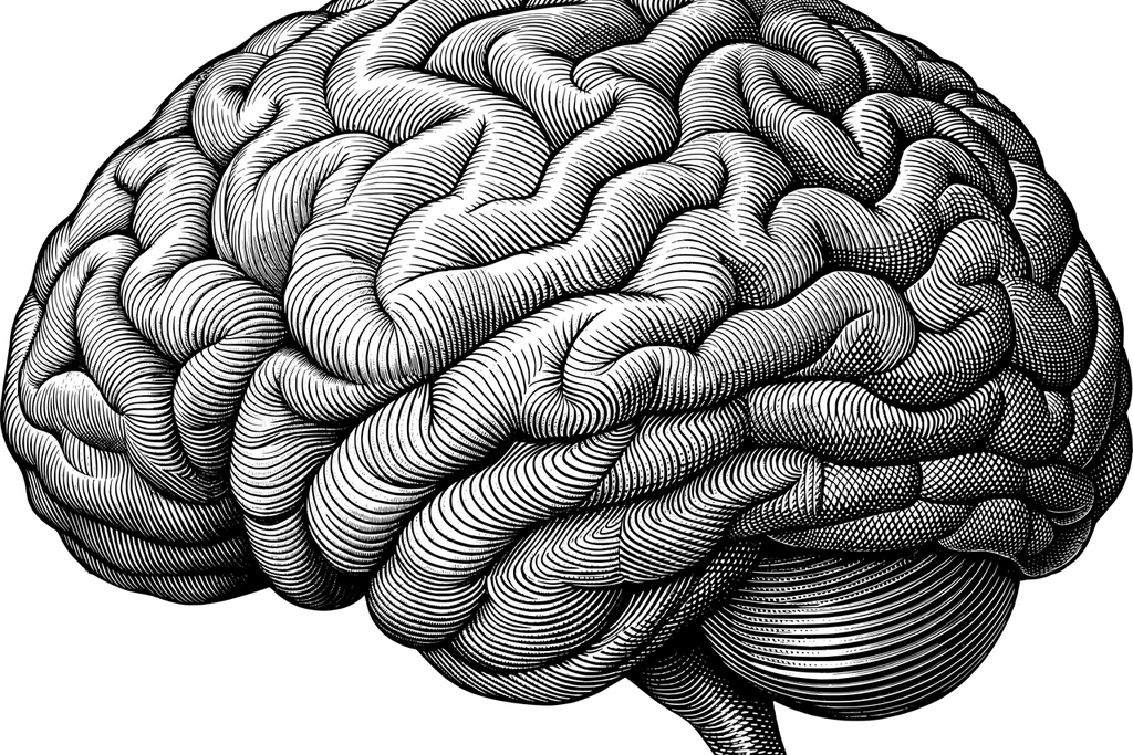 Mental Health and Substance Use Support