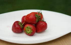 Chronic Disease Management