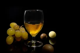 Importance of Gastro Health