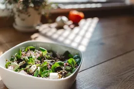 Health and Wellness Resources