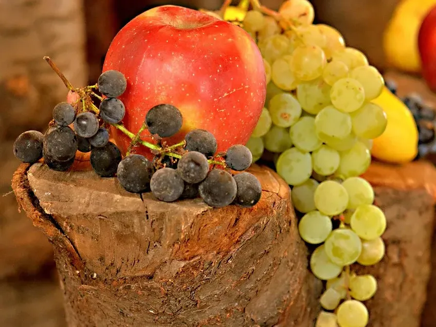 How to Get Paid for Writing Health Food Articles