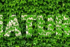 Is Wegovy Covered