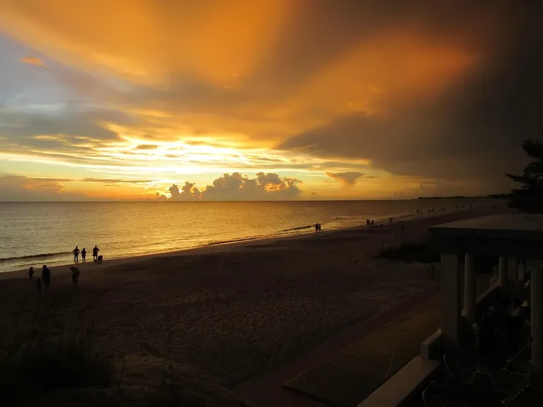 Exploring Health Insurance Choices in Florida