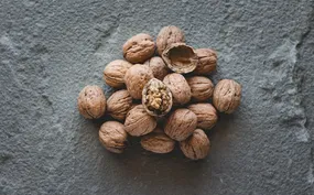 Nutrition Science