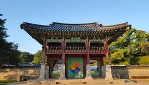 Steps to Get Health Insurance in Korea for Travel