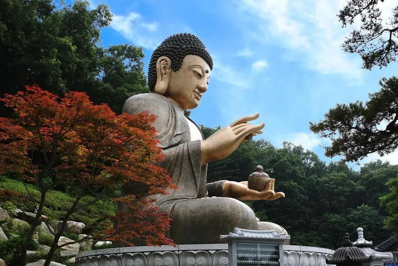Why Do You Need Health Insurance for Travel in Korea