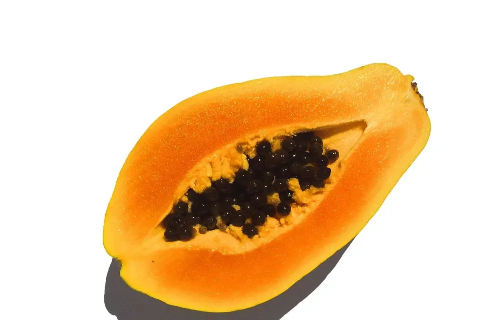 Who Should Use American Health Papaya Enzyme?