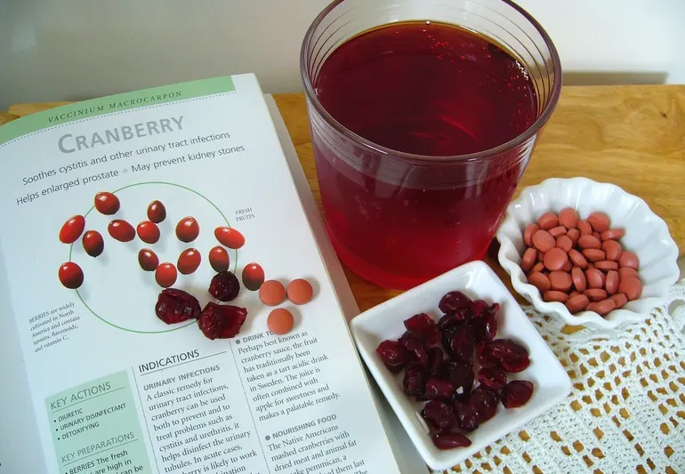The Positive Effects of Cranberry Juice on Health