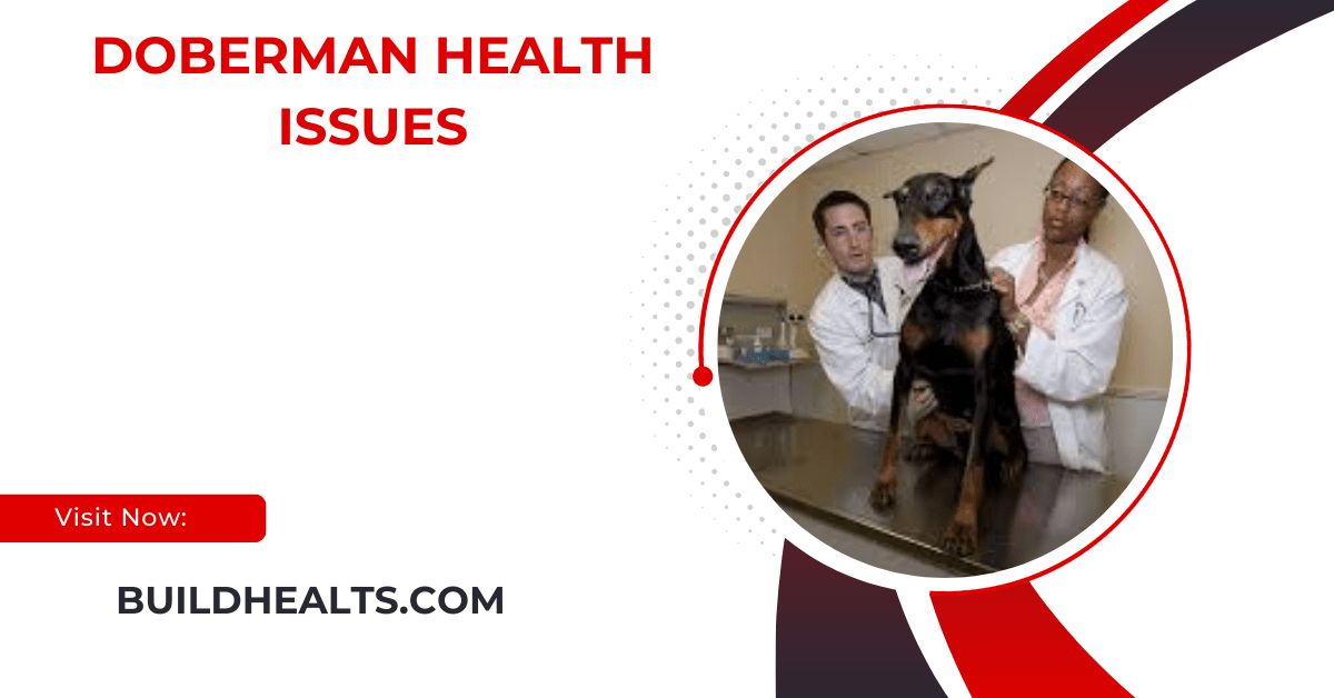 doberman health issues