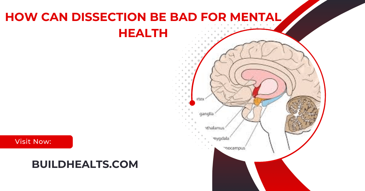 How Can Dissection Be Bad For Mental Health