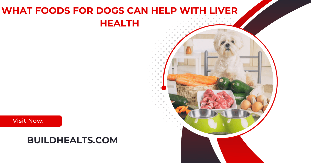 what foods for dogs can help with liver health