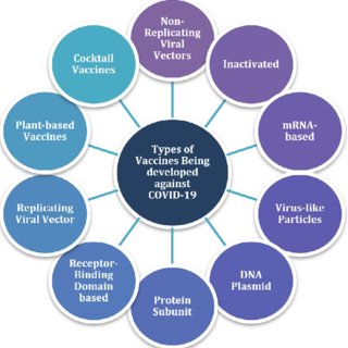 Factors Influencing Vaccine Management Policy Updates