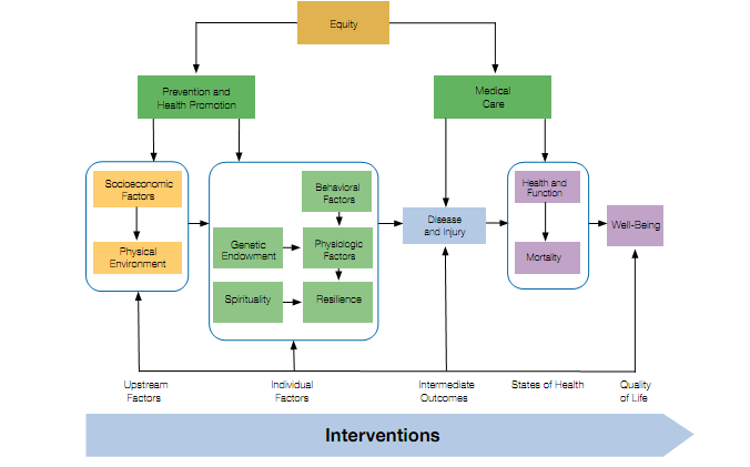 The Role of Policy in Population Health