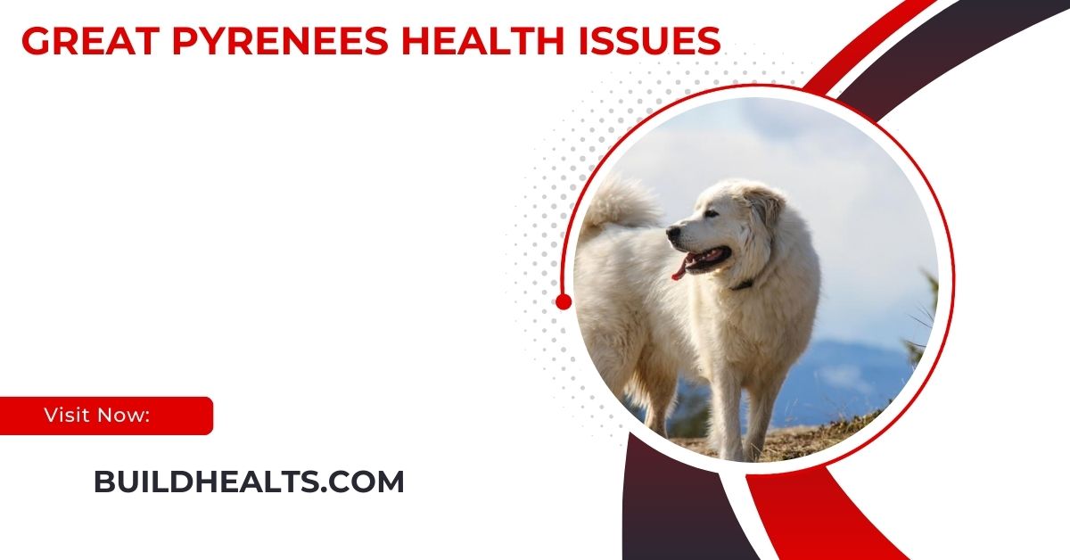 great pyrenees health issues