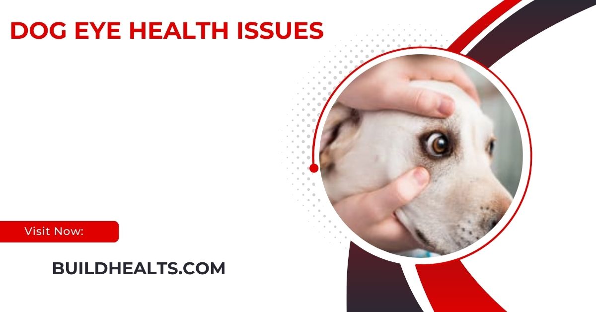 dog eye health issues