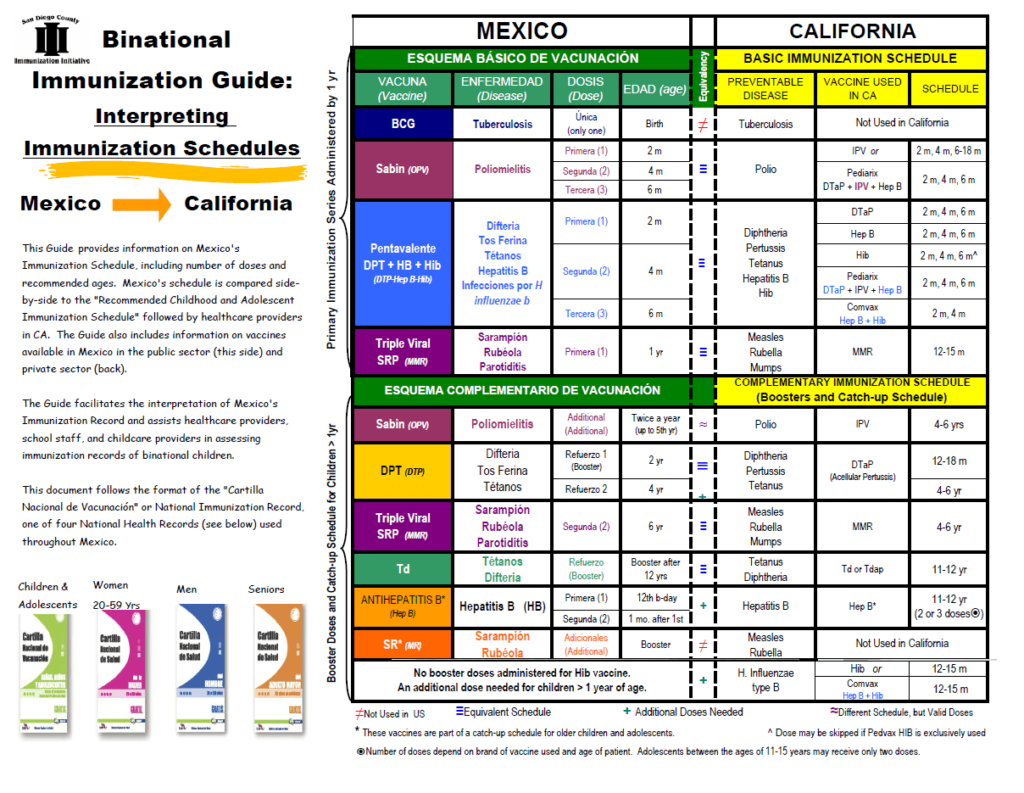 What Are Immunization Records