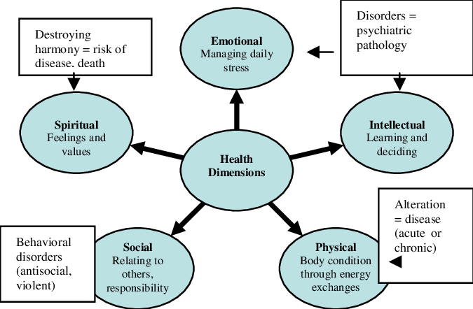 What Are the Dimensions of Health